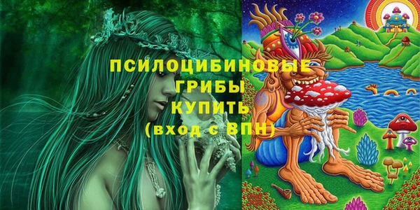 ECSTASY Алексин
