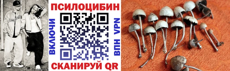 Галлюциногенные грибы GOLDEN TEACHER  Богородск 