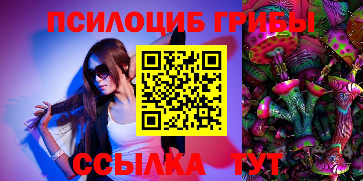 Псилоцибиновые грибы GOLDEN TEACHER  Богородск  Псилоцибиновые грибы Magic Shrooms 