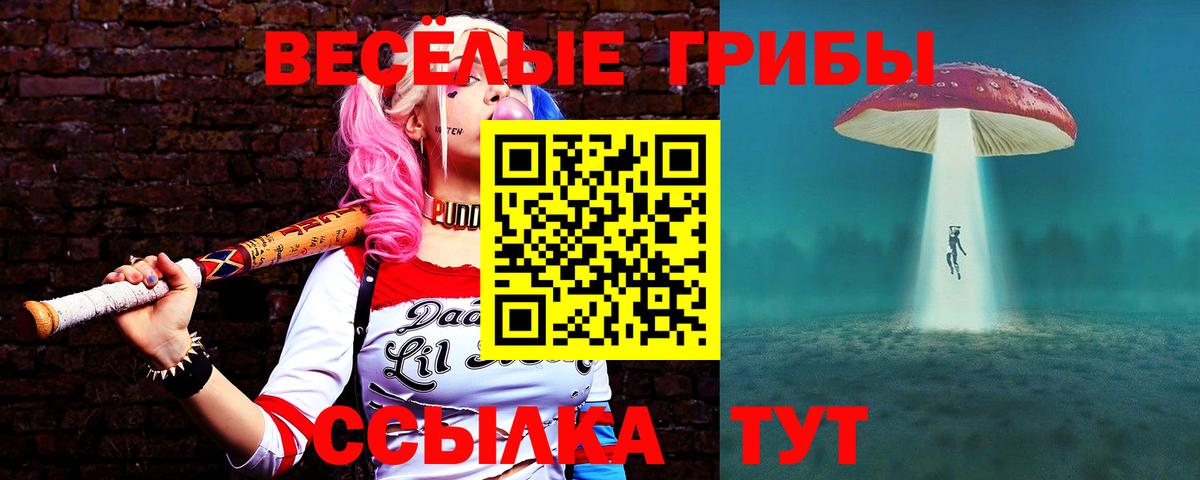 Псилоцибиновые грибы прущие грибы Богородск