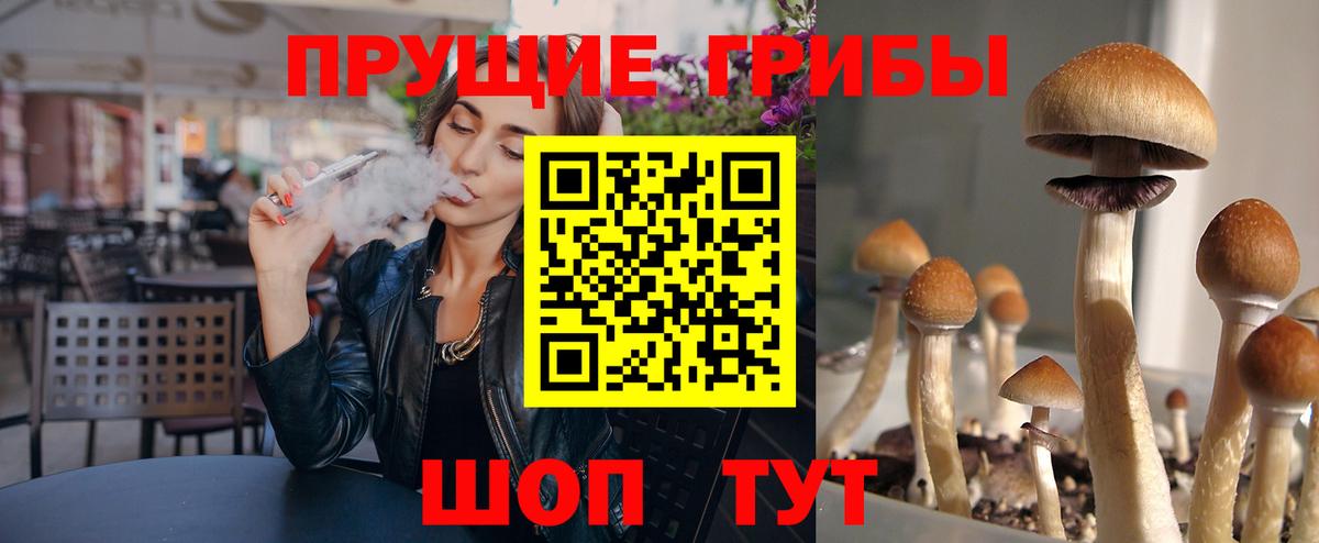 Галлюциногенные грибы Magic Shrooms Богородск